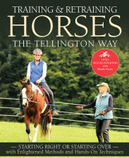 Training & Retraining Horses the Tellington Way