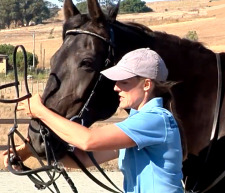 Tellington TTouch® Method Virtual Learning Center: Lindell Sidepull (Bitless Bridle)