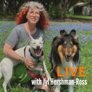 Interactive & Online Tellington TTouch for Dogs
